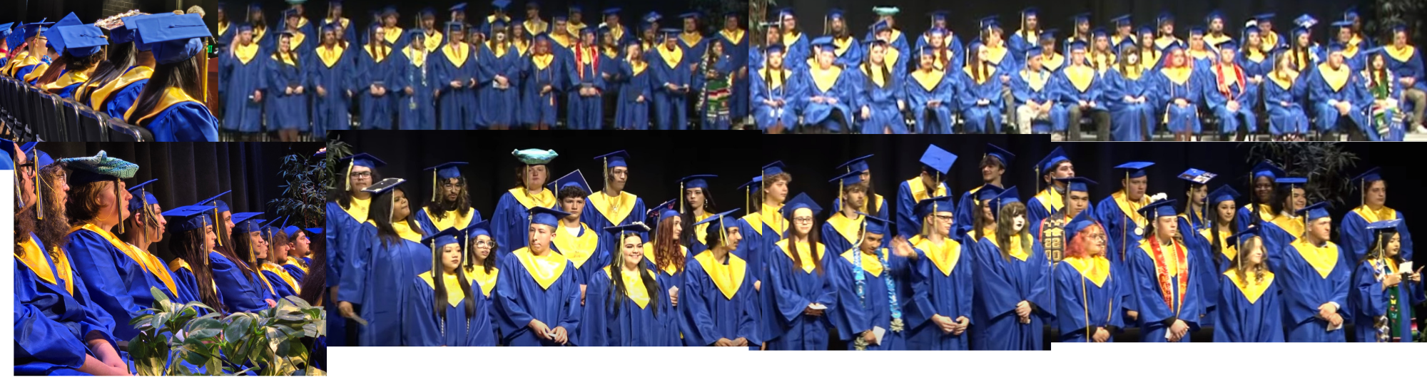 Find the link to the ceremony here: